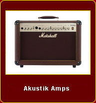Unsere Akustik Amp`s